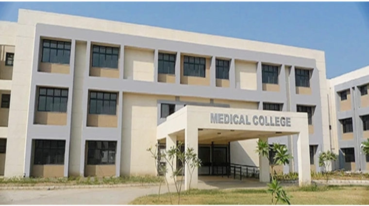 Untitled design (19)