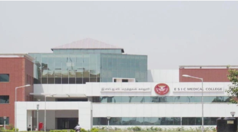 Untitled design (62)