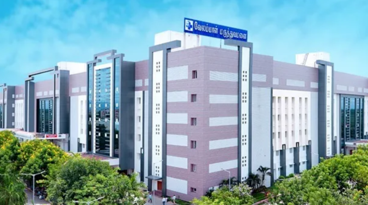 Untitled design (96)